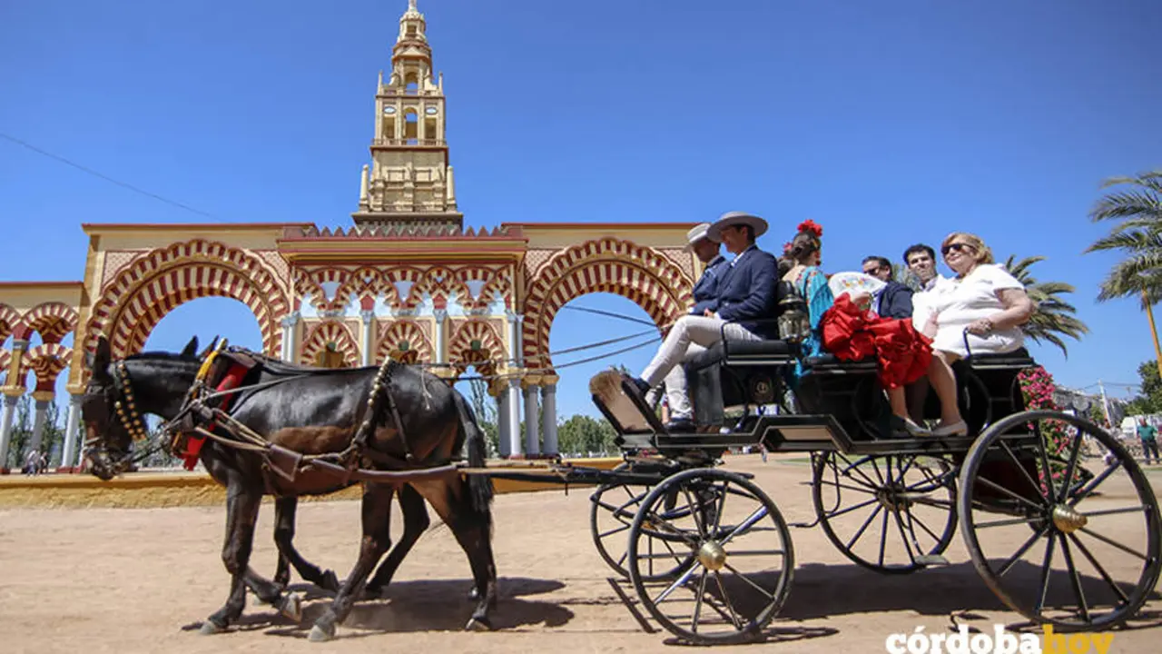 Mi&eacute;rcoles de Feria 2026