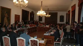 Diputaci&oacute;n pleno