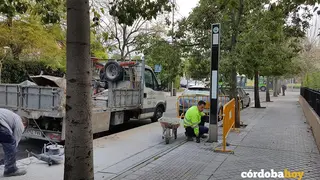 parada de bus