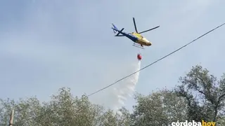 Helicoptero del Infoca en Alcolea