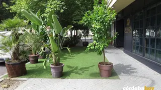 Terraza del pub Aura en la Plaza de Col&oacute;n