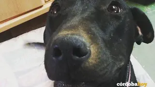 TAI