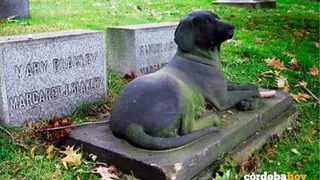 Una tumba de un perro en un cementerio de animales