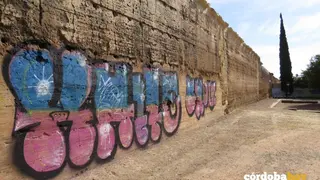 Pintada en la muralla del Marrubial 2