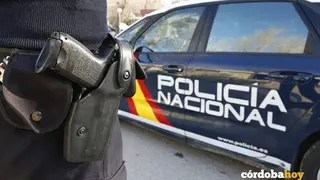 Agente de la Polic&iacute;a Nacional junto a un veh&iacute;culo policial