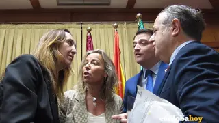 Paula Badanelli, Isabel Alb&aacute;s, Jos&eacute; Mar&iacute;a Bellido y Salvador Fuentes en un Pleno prepand&eacute;mico