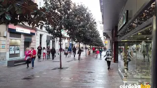 Comercios de la zona Centro de C&oacute;rdoba capitales una imagen de archivo FOTO EUROPA PRESS