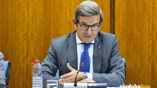 Jorge Paradela, durante su intervenci&oacute;n en comisi&oacute;n en el Parlamento andaluz FOTO JOAQU&Iacute;N CORCHERO