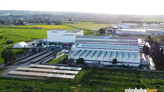 Vista general de la factor&iacute;a de Hitachi Energy en C&oacute;rdoba.- HITACHI ENERGY