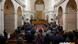 El Parlamento andaluz guarda un minuto de silencio por las v&iacute;ctimas del accidente de tren de Adamuz (C&oacute;rdoba).- FRANCISCO J. OLMO:EUROPA PRESS