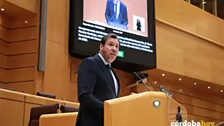 &Oacute;scar Puente en el Senado FOTO SUBDELEGACI&Oacute;N DEL GOBIERNO