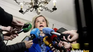 La fiscal superior de Andaluc&iacute;a, Ana T&aacute;rrago, en la reuni&oacute;n de la Junta de Fiscales Jefes Provinciales y de &Aacute;rea FOTO Eduardo Briones / Europa Press