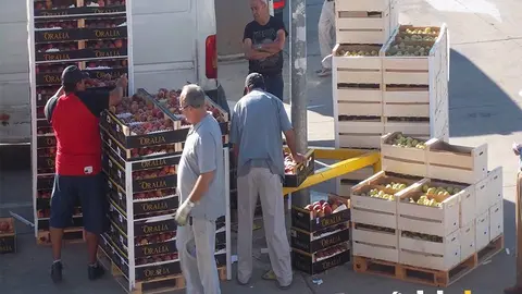 banco de alimentos
