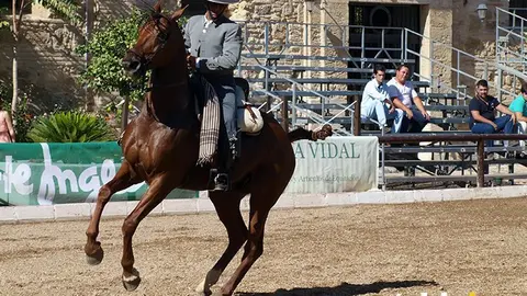 CABALLOS