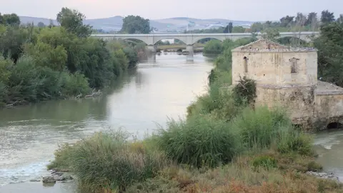 rio guadalquivir