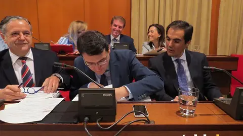 PLENO PP