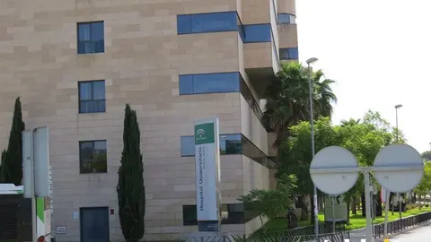 Reina Sof&iacute;a 