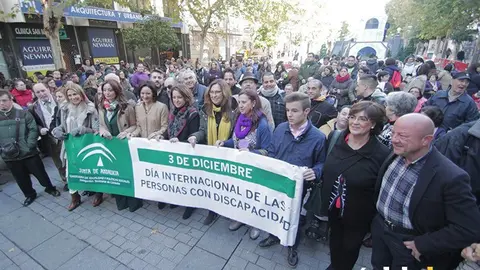 DISCAPACIDAD 2