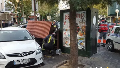 casta&ntilde;a1