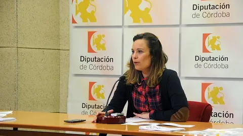 Guijarro Jornada Cooperaci&oacute;n al Desarrollo 2