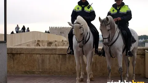 Caballos Polic&iacute;a Local 2
