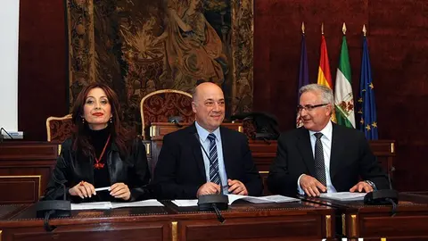 Ayuda a domicilio Diputaci&oacute;n