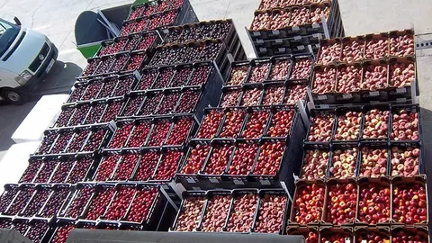 frutas banco de alimentos