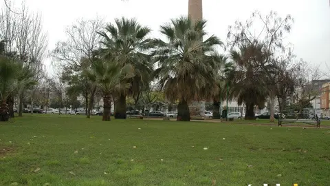 Jardines de la Estrella en Huerta de la Reina