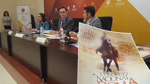 Doma vaquera