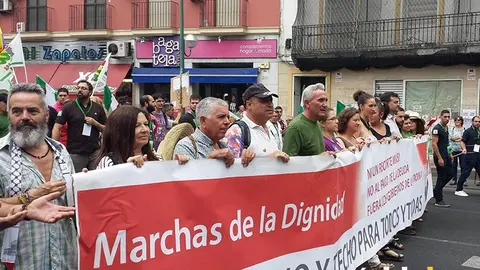 SAT Y GORDILLO