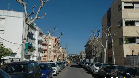 Poda Huerta de San Rafael
