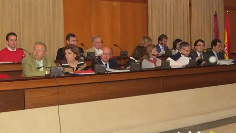 PLENO MARZO 2