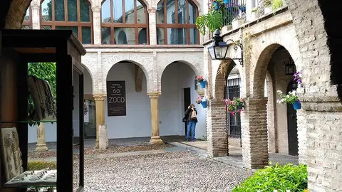 Zoco 1