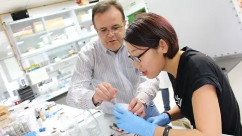 investigaci&oacute;n