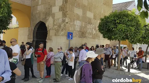 Cola patios 2