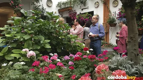 PATIOS 2