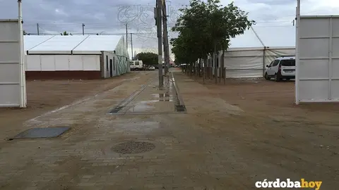 Feria barro