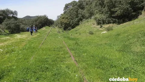 Campo
