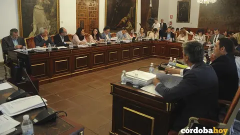 Pleno Diputaci&oacute;n mayo 2