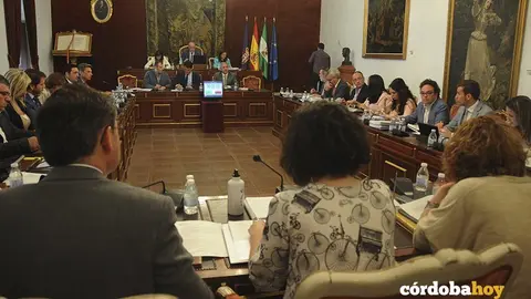 Pleno Diputaci&oacute;n mayo
