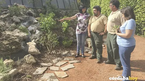 bot&aacute;nico