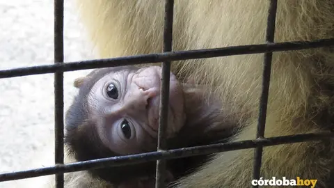 ZOO 14