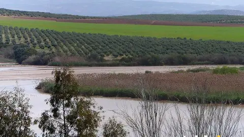 Embalse del Cordobilla