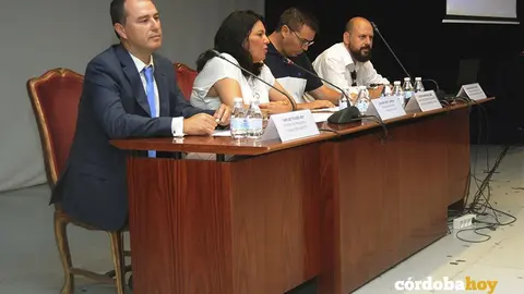jornada dipu