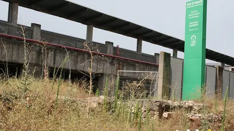 Yacimiento de Cercadillas 2