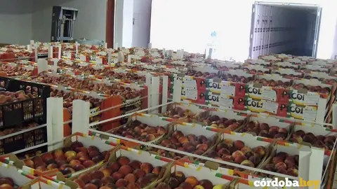 Banco de alimentos