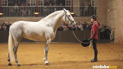 cordoba ecuestre