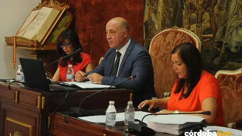 pleno diputacion 