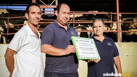 ganadero covap1