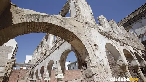 Regina 1